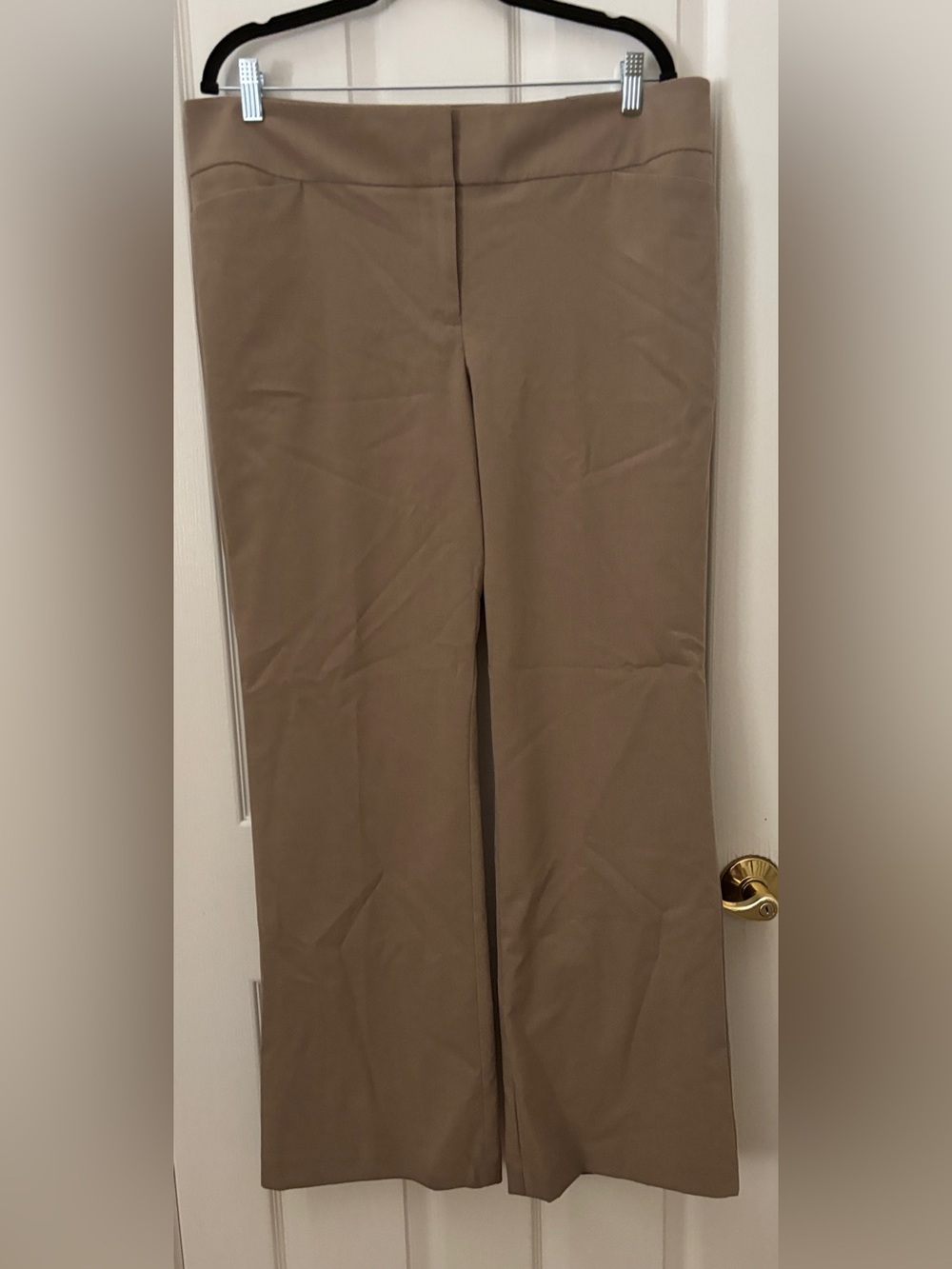 Ann Taylor Signature Boot Leg Pants ~ Women’s 14 NWT ~ Tan